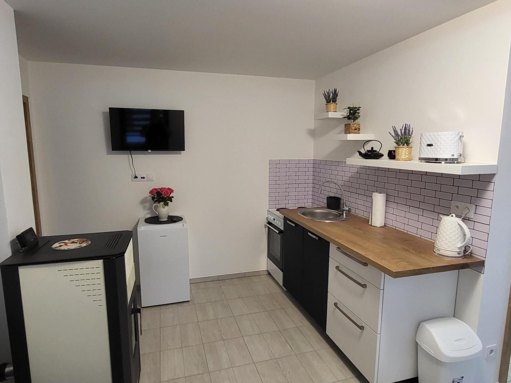 Apartman Na Karlicku Karlov  Екстериор снимка