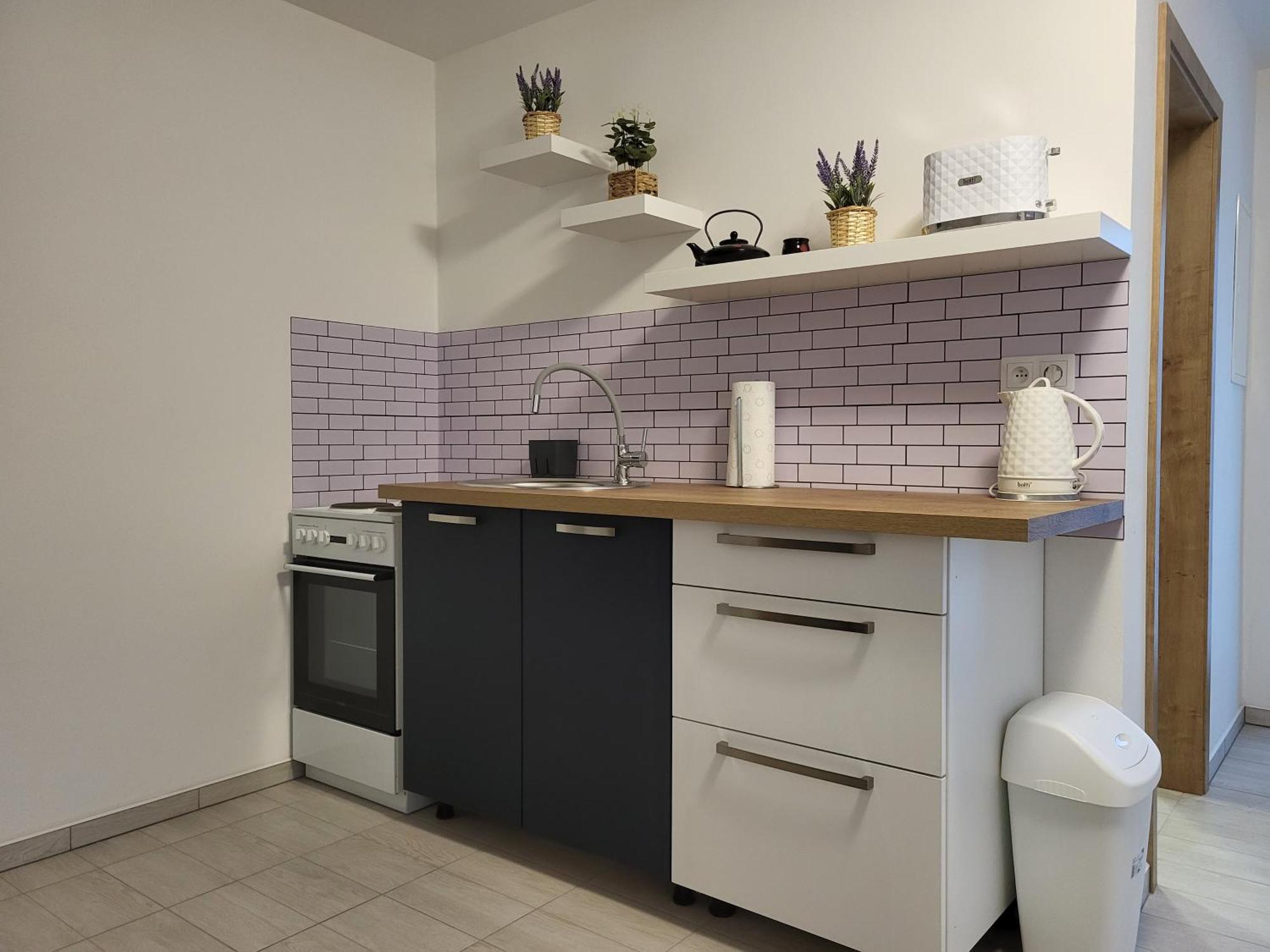 Apartman Na Karlicku Karlov  Екстериор снимка