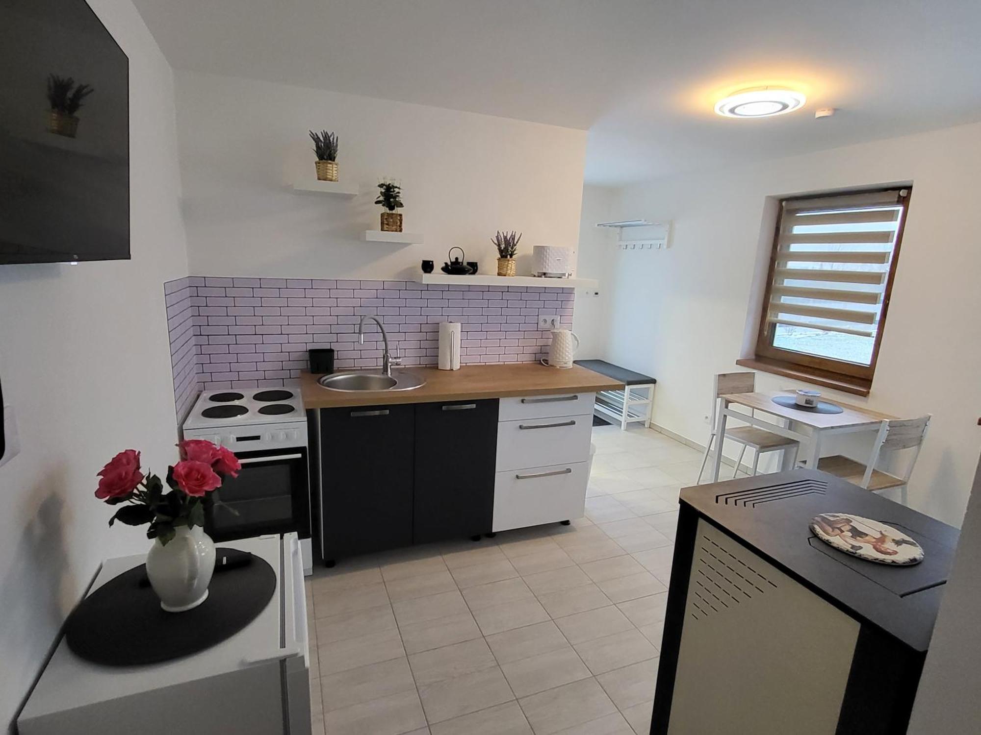 Apartman Na Karlicku Karlov  Екстериор снимка